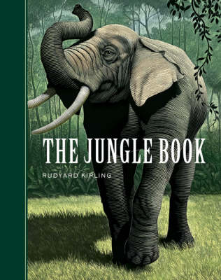 The Jungle Book instaling