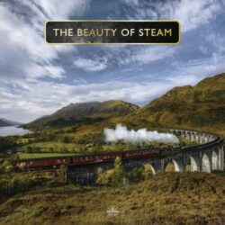 Beauty Of Steam