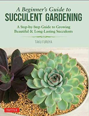 Beginner's Guide to Succulent Gardening