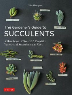 Gardener&apos;s Guide to Succulents