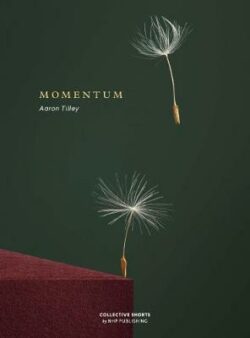 Momentum