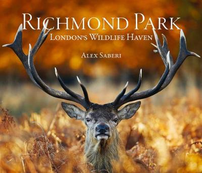 Richmond Park