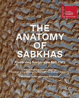 Anatomy of Sabkhas