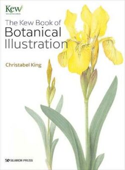 Kew Book of Botanical Illustration (paperback edition)