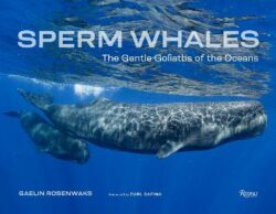 Sperm Whales