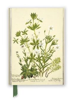 RBGE: Charlotte Cowan Pearson: Stitchworts, Woodruff and Pepperwort (Foiled Journal)