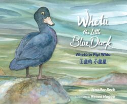 Whetu The Little Blue Duck Trilingual Ed