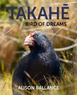 Takahe