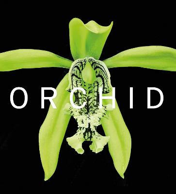 ORCHID