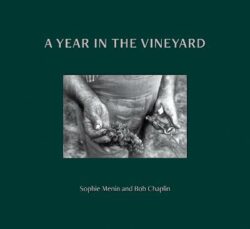 Year in the Vineyard