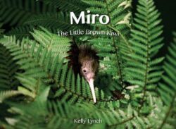 Miro  The Little Brown Kiwi