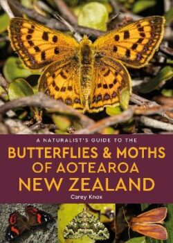 Naturalist&apos;s Guide to the Butterflies & Moths of Aotearoa New Zealand