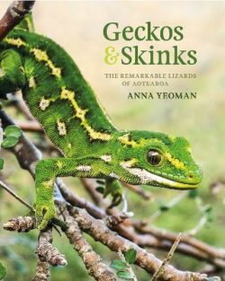 Geckos & Skinks