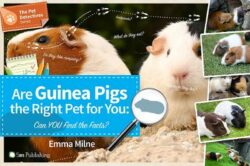 Are Guinea Pigs the Right Pet for You: Can You Find the Facts?