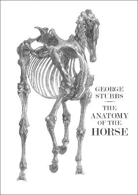 Anatomy of the Horse