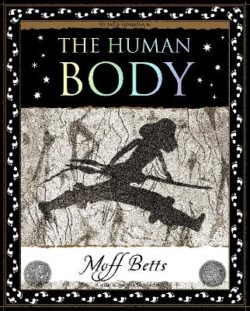 Human Body