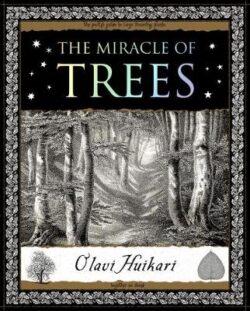 Miracle of Trees