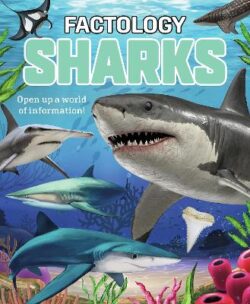 Factology: Sharks