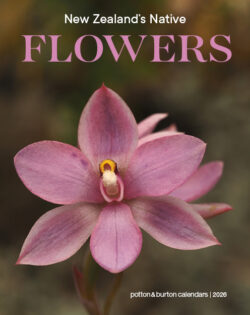 NZ  Native Flowers Calendar 2026