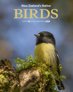 NZ Native Birds Calendar 2026