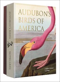 Audubon&apos;s Birds of America